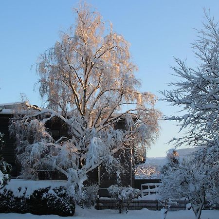 Ferienwohnung Dahoam Angerberg  ภายนอก รูปภาพ